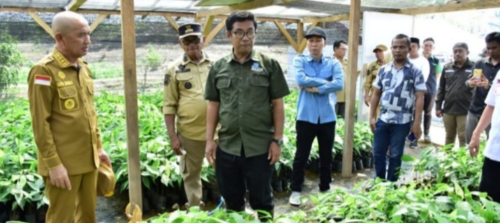 Bupati Pohuwato, Saipul A. Mbuinga, meninjau langsung Program Kakao Berkelanjutan