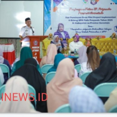 Pemkab Pohuwato Dukung Marisa Utara Di Tetapkan sebagai Desa Percontohan 6 SPM Posyandu