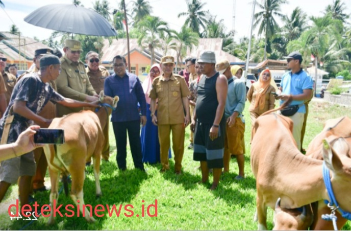 Bupati Saipul Mbuinga Serahkan Bantuan Sapi kepada Kelompok Ternak