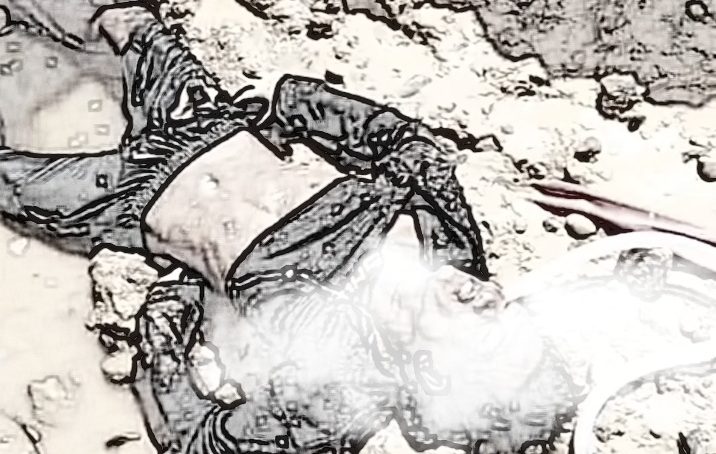 ML, Tulang Punggung Keluarga Itu Meregang Nyawa Di PETI Desa Teratai