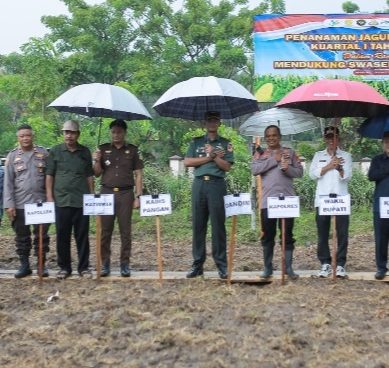Wabup Iwan Adam Tegaskan, Jagung Menjadi Sektor Unggulan di Kabupaten Pohuwato.