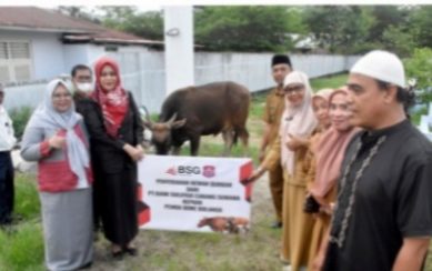Wujud Kepedulian Sosial, Bank SulutGo Serahkan Bantuan Sapi Kurban ke Pemda Bone Bolango