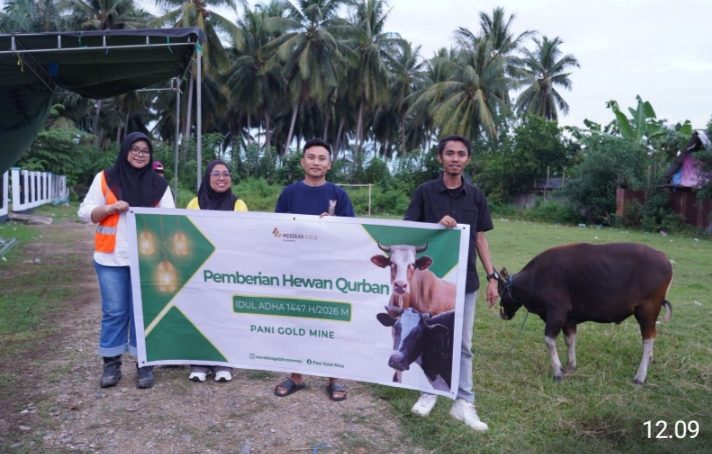 Pani Gold Mine Salurkan 43 Sapi Qurban di Pohuwato dan Gorontalo