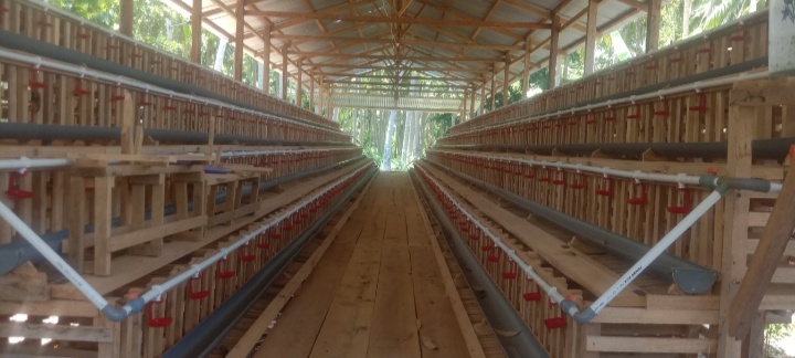 Inspektorat Daerah Pohuwato Seriusi Dugaan Penyimpangan Pengadaan Kandang Dan Bibit Ayam Desa Molosifat Utara
