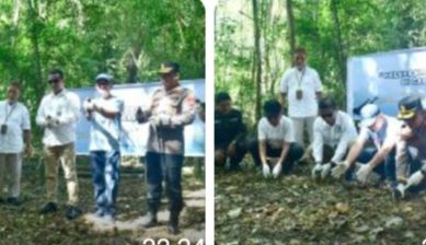 Delapan Anakan Burung Maleo Kembali Dilepas ke Habitat Alami