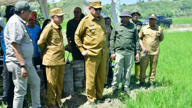 Dihadapan Gubernur Gorontalo, Bupati Pohuwato Ungkap Perjuangan Hadirkan Program Cetak Sawah 5.000 Hektar