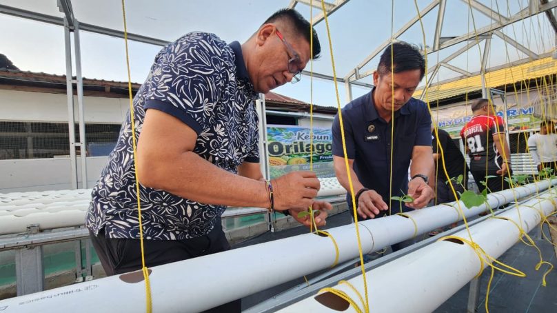 Dorong Kemandirian Warga Binaan melalui Pertanian Modern, Lapas Gorontalo Canangkan Green House