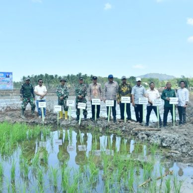 Dorong Perluasan Sawah, Bupati Tinjau Pemanfaatan Lahan Tidur di Motolohu