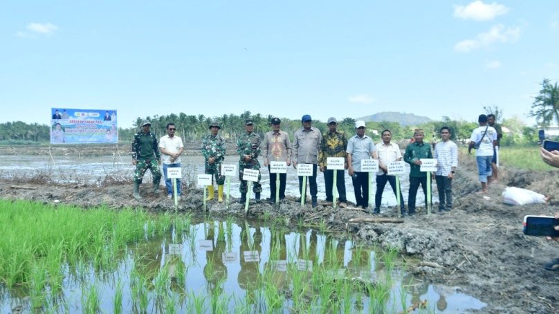 Dorong Perluasan Sawah, Bupati Tinjau Pemanfaatan Lahan Tidur di Motolohu