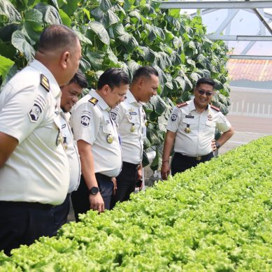 Dorong Penguatan Pembinaan Kemandirian Warga Binaan, Kabag TUM Kanwil Ditjenpas Gorontalo Tinjau Kebun Hidroponik Orilago,