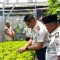 Program Greenhouse Lapas Gorontalo Sukses Hasilkan Panen Perdana