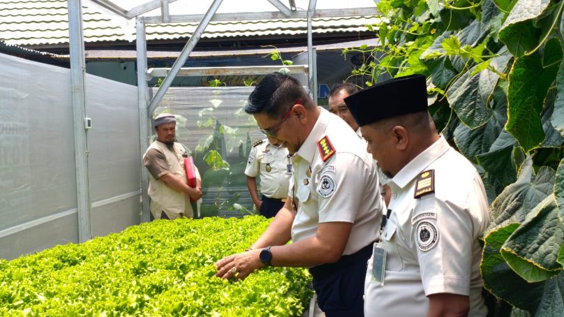 Program Greenhouse Lapas Gorontalo Sukses Hasilkan Panen Perdana