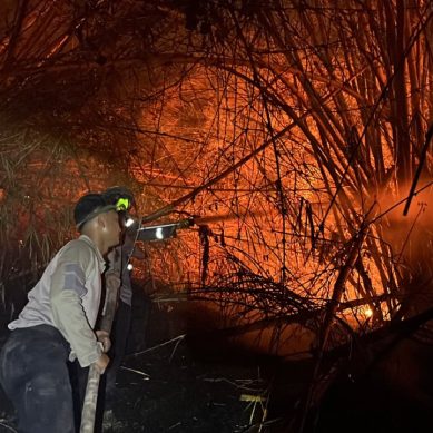 Dua hari berturut-turut, Dit Samapta Polda Gorontalo dan tim gabungan padamkan di Desa Bondawuna