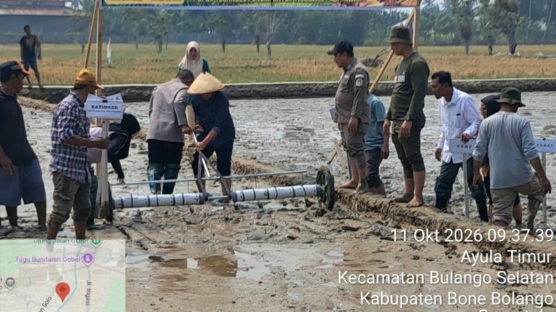 Modernisasi Pertanian Bone Bolango, Gerakan Tanam PM-AAS Digelar di Ayula Timur
